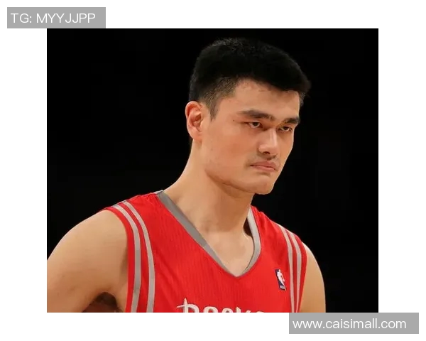 姚明的职业生涯与成就概览表格详解及其对篮球运动的影响分析