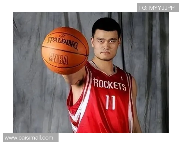 姚明用户画像分析:探讨篮球迷的特征与消费行为 姚明用户画像分析:探讨篮球迷的特征与消费行为