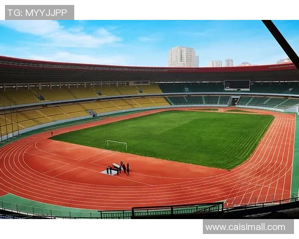 云南体育之光:揭晓云南十大体育明星排名及其成就分析 云南体育之光:揭晓云南十大体育明星排名及其成就分析